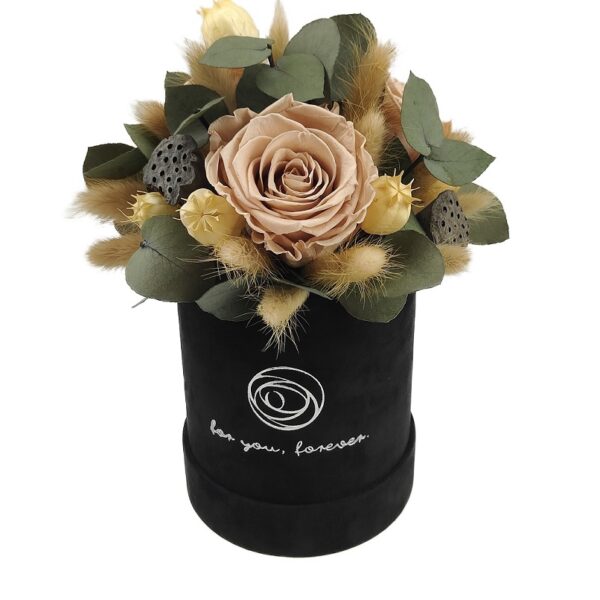 Rose belle box S kompozycja 3D nude
