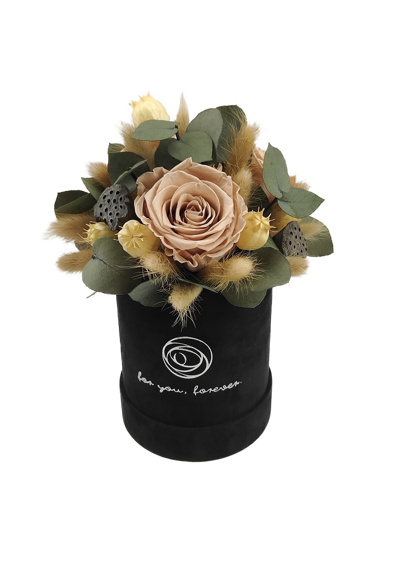 Rose belle box S kompozycja 3D nude
