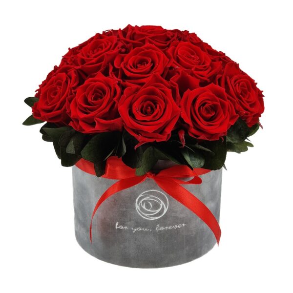Rose Belle Box Splendid M czerwony