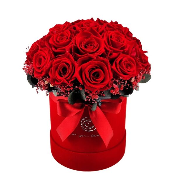 Rose Belle Box Splendid M czerwony ver.2