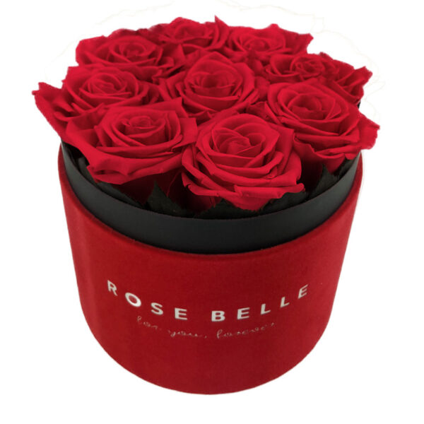 Rose Belle Box M flokowany czerwony