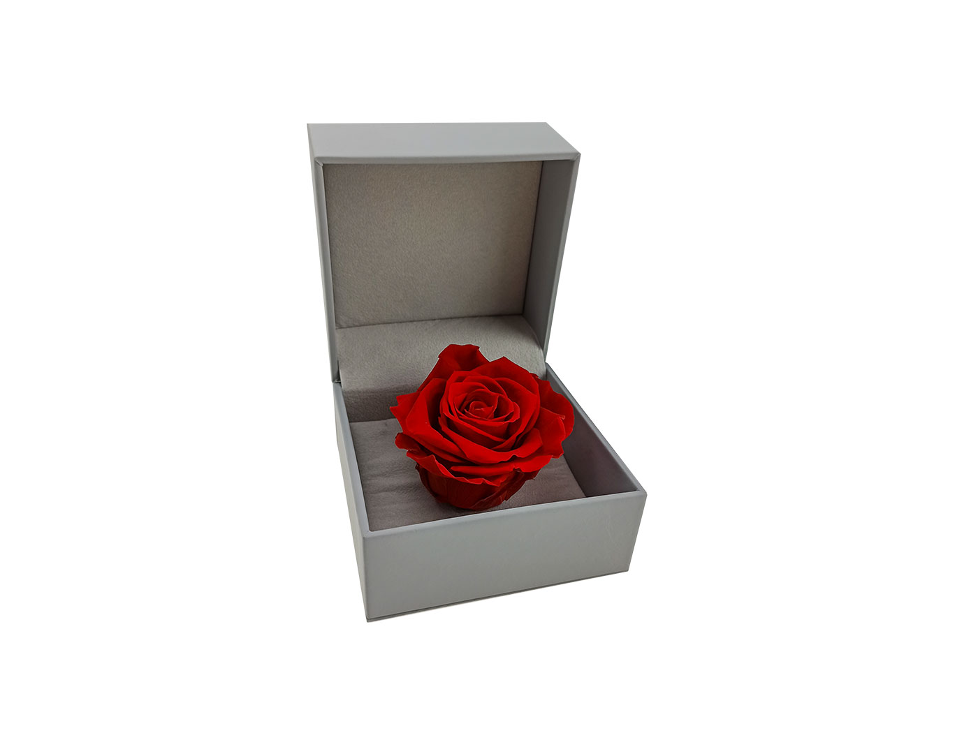 Rose Box