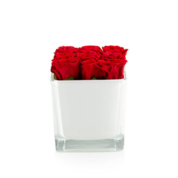 Kompozycja Box Glass Plus 9