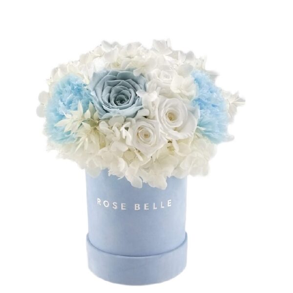 Rose Belle Box S błękitny DeLuxe z białą hortensją