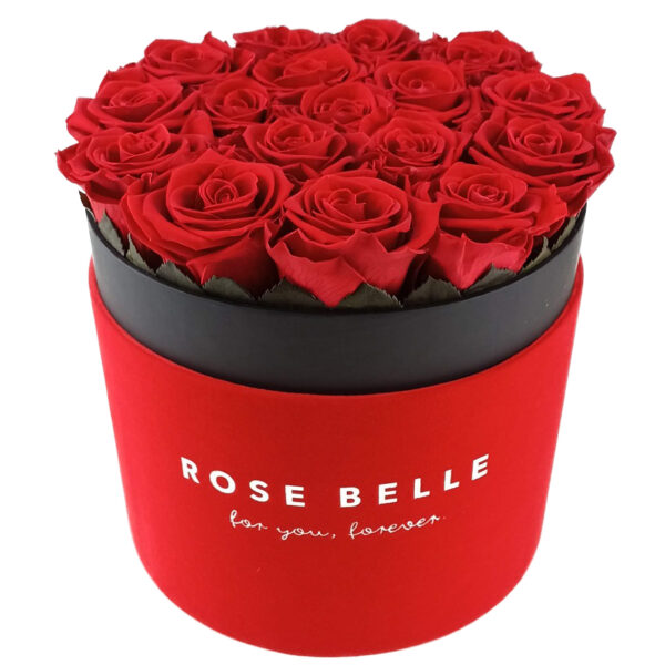 Rose Belle Box XL flokowany czerwony