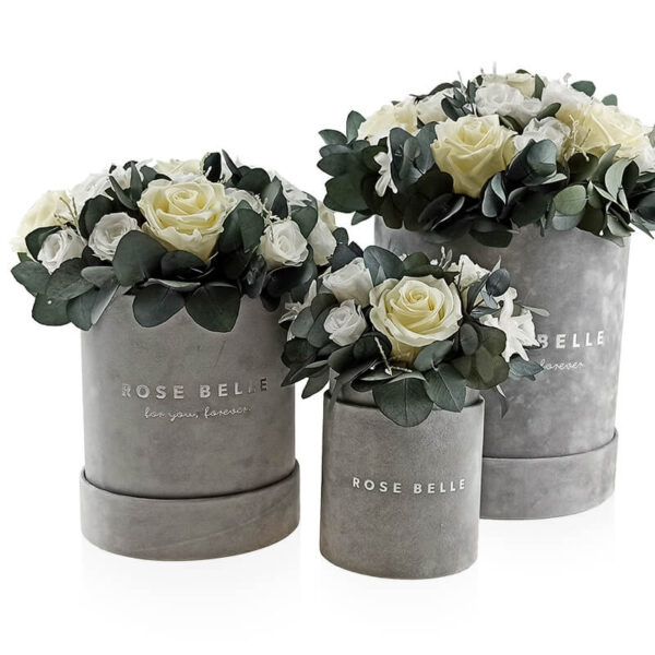 Rose Belle Box flokowany z eukaliptusem zestaw
