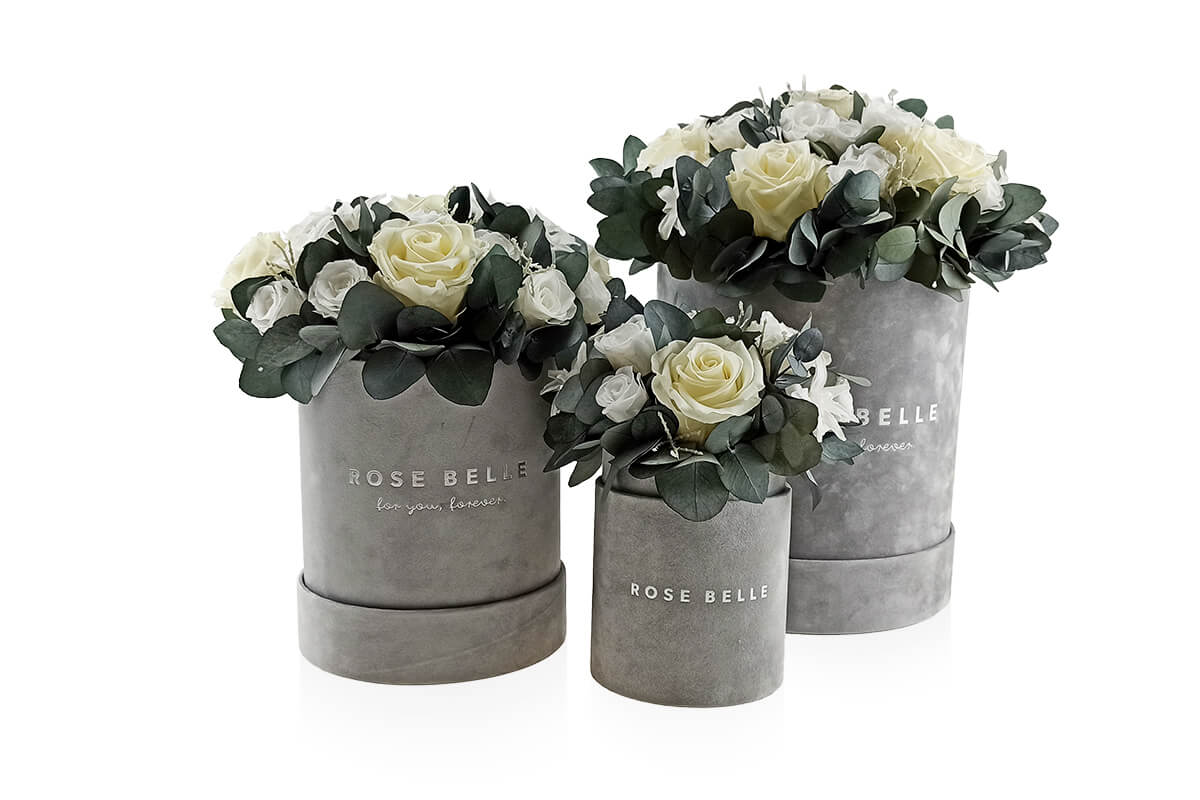 Rose Belle Box flokowany z eukaliptusem zestaw
