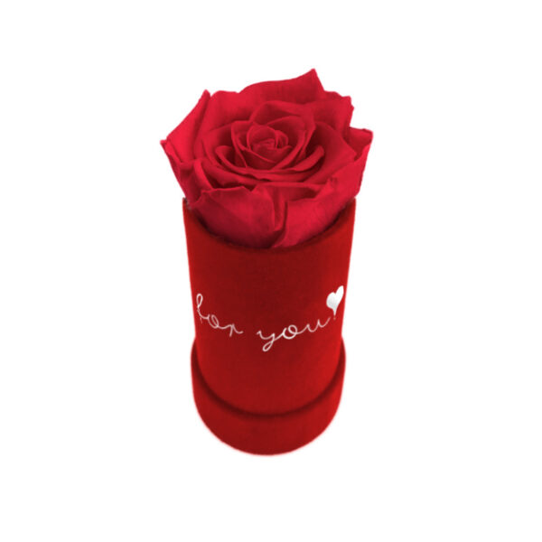 Mini Box XS czerwony – edycja limitowana „for you❣️”